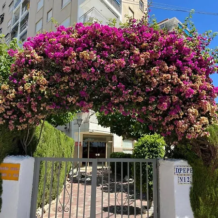 Frontal Con Vistas Benicàssim